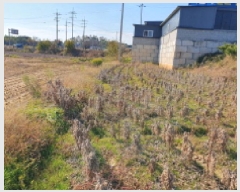  2025Ÿ��31874 ���� ������ ��ǳ�� 524-10       ����(��)���