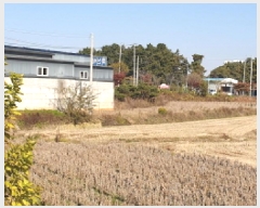  2025Ÿ��31874 ���� ������ ��ǳ�� 524-10       ����(��)���