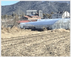  2025Ÿ��32043 ���� ������ ��Ȱ�� ���ĸ� 1512-3      ����(��)���