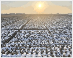  2025Ÿ��32043 ���� ������ ��Ȱ�� ���ĸ� 1512-3      ����(��)���