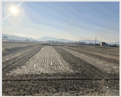  2025Ÿ��32043 ���� ������ ��Ȱ�� ���ĸ� 1512-3      ����(��)���