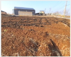  2025Ÿ��165 ���� �ͻ�� ������ â�� 490-15      ����(��1)���