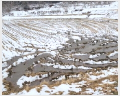  2025Ÿ��165 ���� �ͻ�� ������ â�� 490-15      ����(��1)���