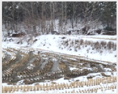  2025Ÿ��165 ���� �ͻ�� ������ â�� 490-15      ����(��1)���