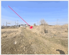  2025Ÿ��324 ���� �ͻ�� �ձø� �¼��� 201-1      ����(��)���