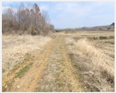  2025Ÿ��324 ���� �ͻ�� �ձø� �¼��� 201-1      ����(��)���