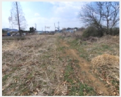  2025Ÿ��324 ���� �ͻ�� �ձø� �¼��� 201-1      ����(��)���