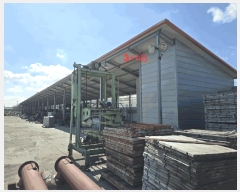  2025Ÿ��20547  ������