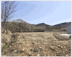  2025Ÿ��20643 ���� �ͻ�� ����� ������ 293-1      ����(��)���