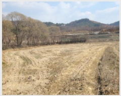  2025Ÿ��20643 ���� �ͻ�� ����� ������ 293-1      ����(��)���