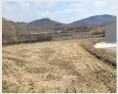  2025Ÿ��20643 ���� �ͻ�� ����� ������ 293-1      ����(��)���