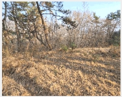  2025Ÿ��20682  �Ӿ߰��