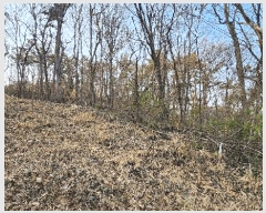  2025Ÿ��20682  �Ӿ߰��