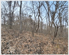  2025Ÿ��20682  �Ӿ߰��