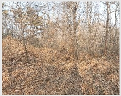  2025Ÿ��20682  �Ӿ߰��