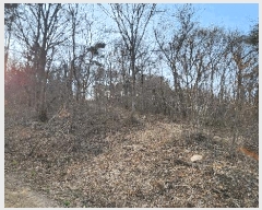  2025Ÿ��20682  �Ӿ߰��