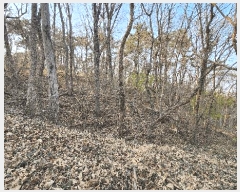  2025Ÿ��20682  �Ӿ߰��