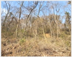  2025Ÿ��20682  �Ӿ߰��