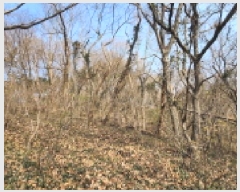  2025Ÿ��20682  �Ӿ߰��