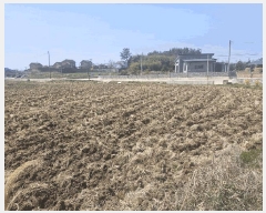  2025Ÿ��359 ���� �ͻ�� �ӻ� 9       ����(��)���