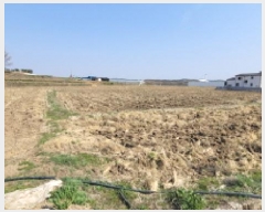  2025Ÿ��359 ���� �ͻ�� �ӻ� 9       ����(��)���