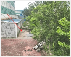  2025Ÿ��387  ������