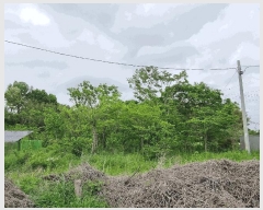  2025Ÿ��400  �����