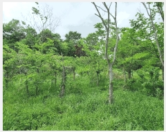  2025Ÿ��400  �����