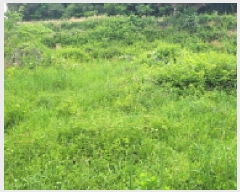  2025Ÿ��400  �����