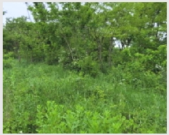  2025Ÿ��400  �����