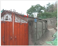  2025Ÿ413     391      ()