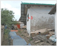  2025Ÿ413     391      ()