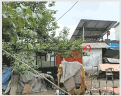  2025Ÿ413     391      ()