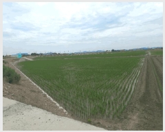  2025Ÿ433    긮 756      ()