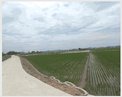  2025Ÿ433    긮 756      ()