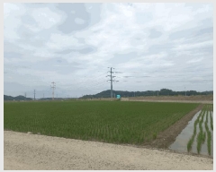  2025Ÿ433    긮 756      ()