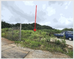  2025Ÿ��501 ���� ����� ���ʵ� 1       ����(��1)���