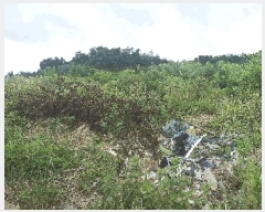  2025Ÿ��501 ���� ����� ���ʵ� 1       ����(��1)���