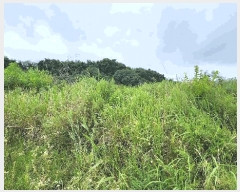  2025Ÿ��501 ���� ����� ���ʵ� 1       ����(��1)���