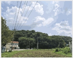  2025Ÿ��522 ���� ����� ����� �д��� ��44      ����(�Ӿ�)���