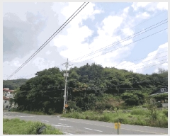  2025Ÿ��522 ���� ����� ����� �д��� ��44      ����(�Ӿ�)���