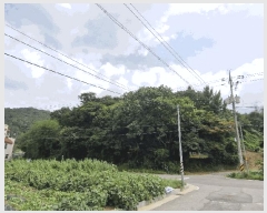  2025Ÿ��522 ���� ����� ����� �д��� ��44      ����(�Ӿ�)���