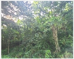  2025Ÿ��522 ���� ����� ����� �д��� ��44      ����(�Ӿ�)���