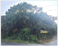  2025Ÿ��522 ���� ����� ����� �д��� ��44      ����(�Ӿ�)���