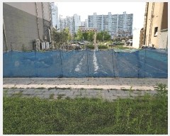  2025Ÿ20846   嵿 504-2       ()