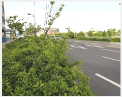  2025Ÿ20846   嵿 504-2       ()