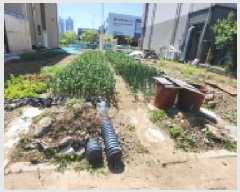  2025Ÿ20846   嵿 504-2       ()