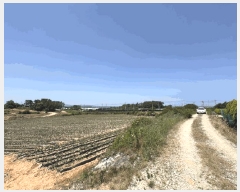  2025Ÿ20952  ͻ  ȭ긮 386      (1)