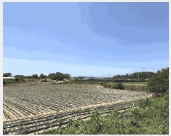  2025Ÿ20952  ͻ  ȭ긮 386      (1)