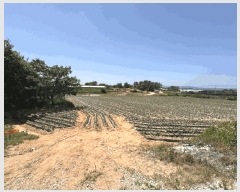  2025Ÿ20952  ͻ  ȭ긮 386      (1)